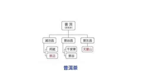 普洱茶4大产区：云南、西双版纳、临沧、普洱，各产区特色及主产茶叶