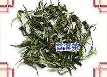 千寻福鼎白牡丹茶叶-福鼎白茶千寻白牡丹