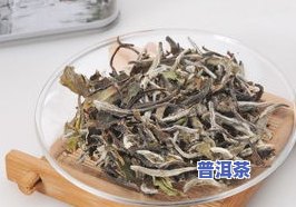 千寻福鼎白牡丹茶叶-福鼎白茶千寻白牡丹