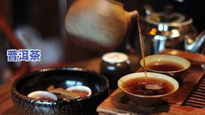 每人每年所需饮茶量：多少斤合适？包含茶叶、茶水和茶叶水