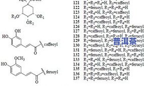 探究普洱茶内含的化学成分及其理作用
