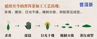 普洱茶内含的化学成分-普洱茶内含的化学成分有哪些