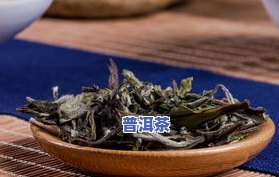 1200一斤的茶叶怎么样？口感、品质怎样？买100克需要多少费用？