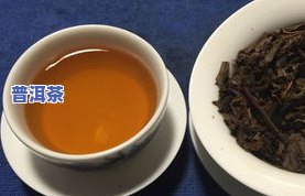 真正的普洱茶：产地、价格与口感全解析