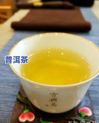 铁观音普洱茶是凉性吗-铁观音普洱茶是凉性吗还是热性