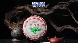 名茶普洱茶饼图片大全高清：名山价格与十大名品一览