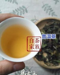 秋茶都有哪些品种？了解秋茶的各种类型和图片