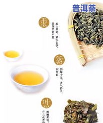 秋茶有哪些代表茶叶-秋茶有哪些代表茶叶品种