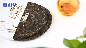 安吉黄金芽是黄茶吗？探究其所属茶类