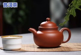 掇球壶适合泡哪些茶叶？品种、种类全解析