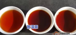 老普洱茶价格查询，最新老普洱茶价格行情，一文带你熟悉市场动态