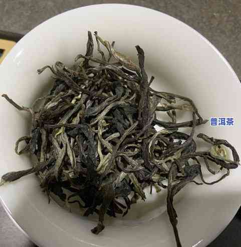 冰岛普洱茶：哪个茶区的？