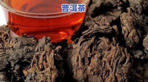 东安普洱茶-东创普洱茶