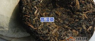 古树普洱生茶：功效、特点、价格及口感全面解析