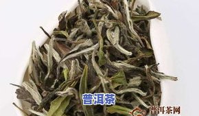 喝熟普洱茶和老白茶哪个更养胃？功效比较与选择建议