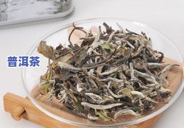 喝熟普洱茶和老白茶：口感比较与选择建议