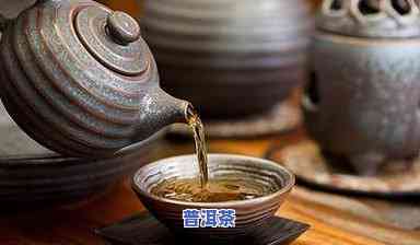 泡一次茶放多少茶叶好？影响口感的关键因素解析