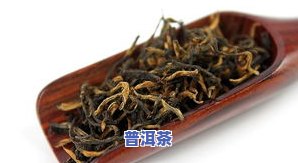 普洱茶排行：前五名一览