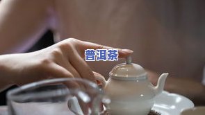 孕妇可以喝哪些茶水？安全饮茶指南