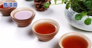 能蒸着喝的普洱茶叫什么名字？了解可蒸茶品种与适宜人群