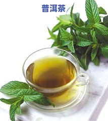 喝熟普洱茶和老白茶的区别-喝熟普洱茶和老白茶的区别是什么