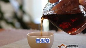 寻找性价比更高的普洱茶：哪家的更好喝、更便宜？