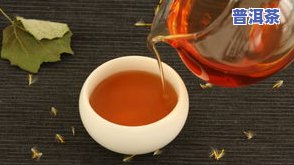 普洱茶是新茶吗-普洱茶是新茶吗还是陈茶