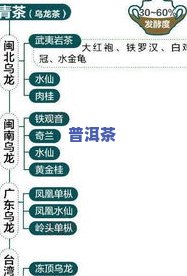 茶叶杀青和烘干有先后顺序？详解其重要性及影响因素