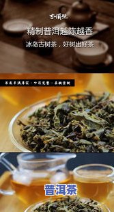 冰岛生茶云南古树普洱茶-冰岛生茶普洱茶多少钱一斤