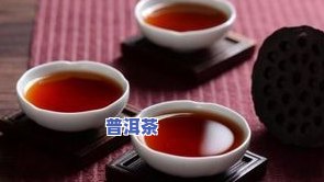 杜仲叶和普洱茶能否一起泡水喝？功效、适合人群解析