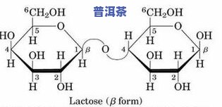 普洱茶打堆：原理、作用与解决堆味方法全解析