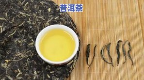 杜仲叶和普洱茶能一起泡水吗？功效与禁忌全解析