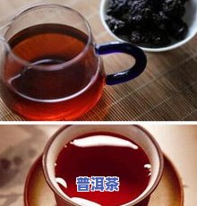 杜仲叶和普洱茶能一起泡水吗？功效与禁忌全解析