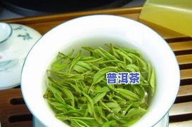 茵陈怎么炒制成茶叶-茵陈怎么炒制成茶叶呢