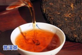 杜仲能否与普洱茶一起泡？探究两者同饮的功效及适宜人群