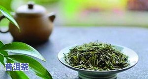 像小木头块似的茶叶：品种、树种与分类全解析