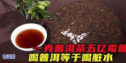 普洱茶里的绒毛能喝吗-普洱茶里的绒毛能喝吗有吗