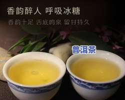 冰岛古树生茶是普洱茶吗-冰岛古树生茶是普洱茶吗