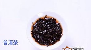 益菌普洱茶-益菌普洱茶是什么