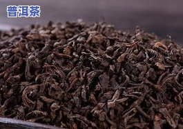 益菌普洱茶-益菌普洱茶是什么