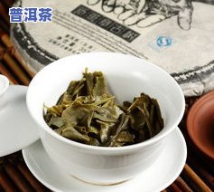 古树普洱茶简介：特点、口感与全面解析