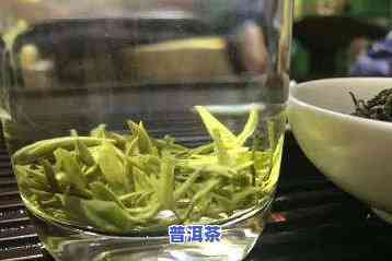 江南茶区有哪些茶叶品种？探索其丰富的名茶种类与图片