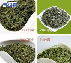 江南茶区有哪些茶叶品种？探索其丰富的名茶种类与图片