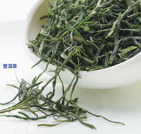 江南茶区有哪些茶叶品种？探索其丰富的名茶种类与图片