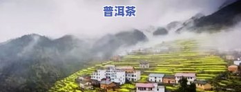 浙江开化县若云茶叶-浙江开化县若云茶叶公司地址