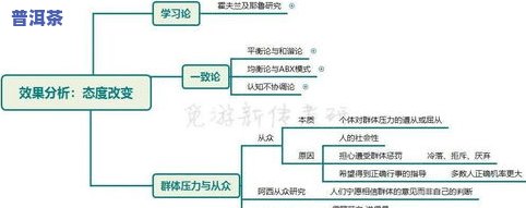 普洱茶由哪三部分组成？主体三大功能物质与两类分类解析