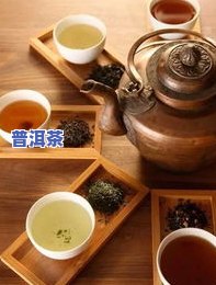 新境普洱茶-新境普洱茶怎么样