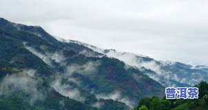 云南普洱茶山：探索普洱茶山景区、度假区与著名风景