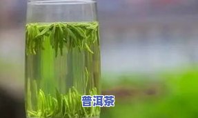 泡在水里竖着的茶叶是什么品种？它又被称为什么名字？