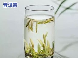 泡在水里竖着的茶叶是什么品种？它又被称为什么名字？